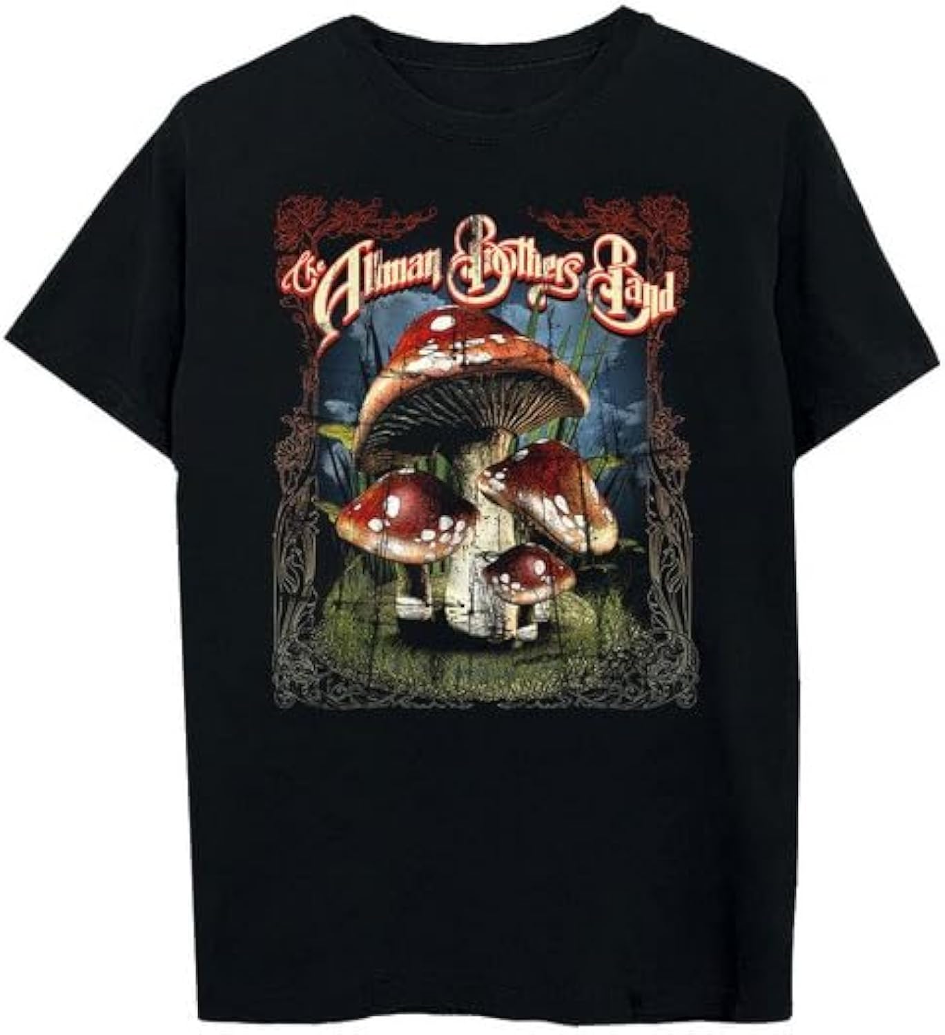 The Allman Brothers Band