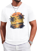 Mens Short Sleeve T-Shirts Crew Neck Casual Graphic Shirt Summer Beach Palm Tree Sunset Printed Vintage Hawaiian Tees