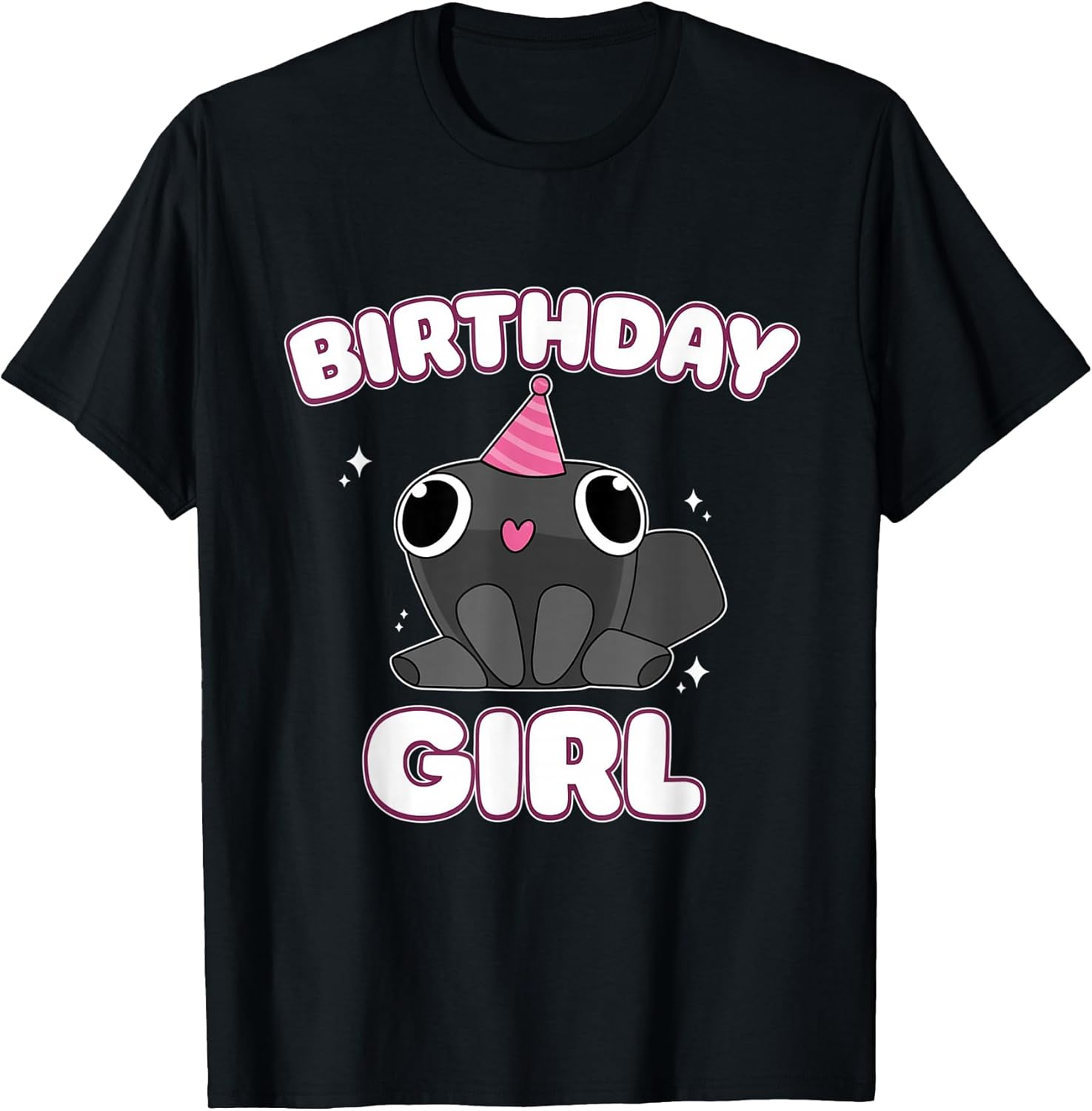 Birthday Girl Pebble Funny Dandy's Minimalist Humor Gifts T-Shirt
