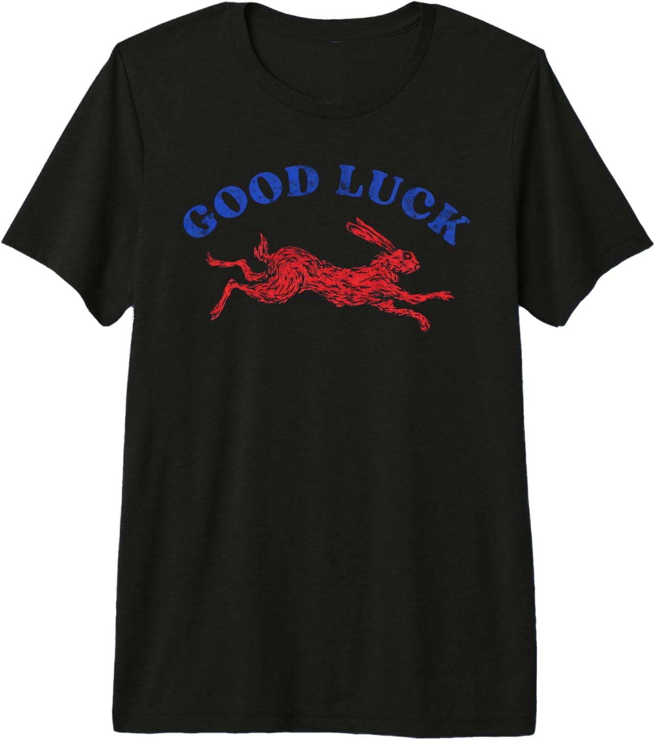Vintage Good Luck Rabbit Aesthetic Western Lucky