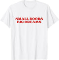 Small Boobs Big Dreams Aesthetic Y2K T-Shirt