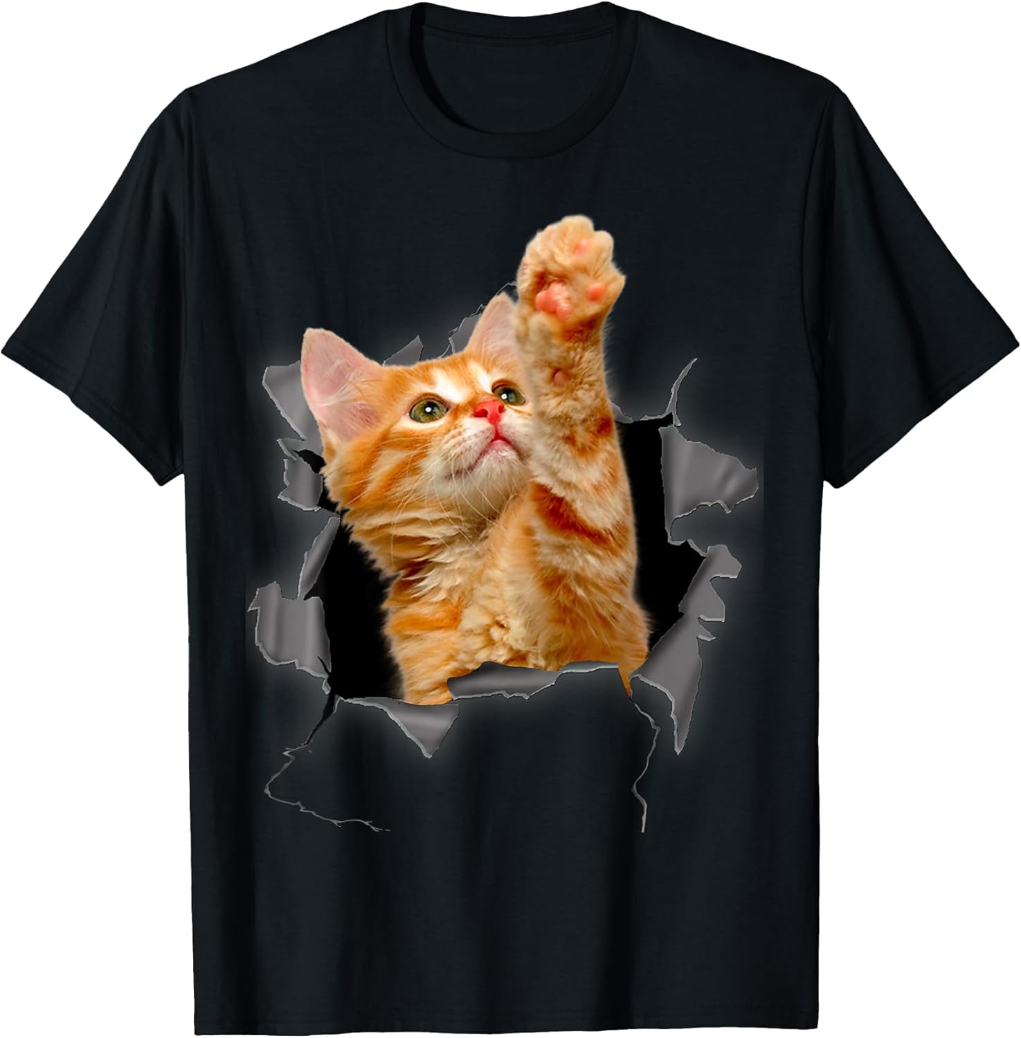 Orange Cat Torn Cloth Funny Gifts Cat Dad Cat Mom, Cat Lover T-Shirt