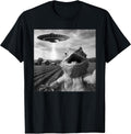 Beardie & UFO Designs