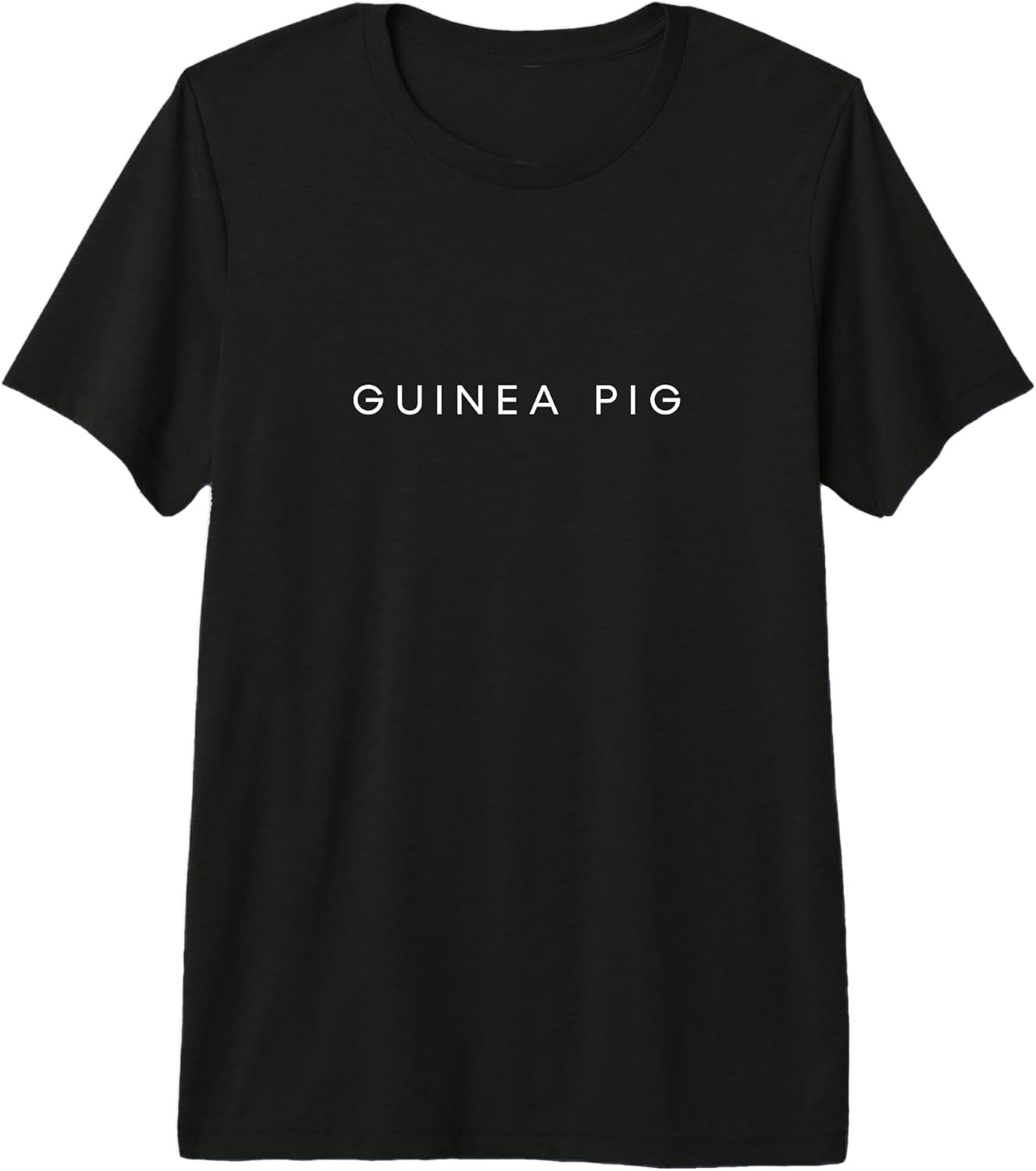 Guinea Pig Minimalist Typography Design