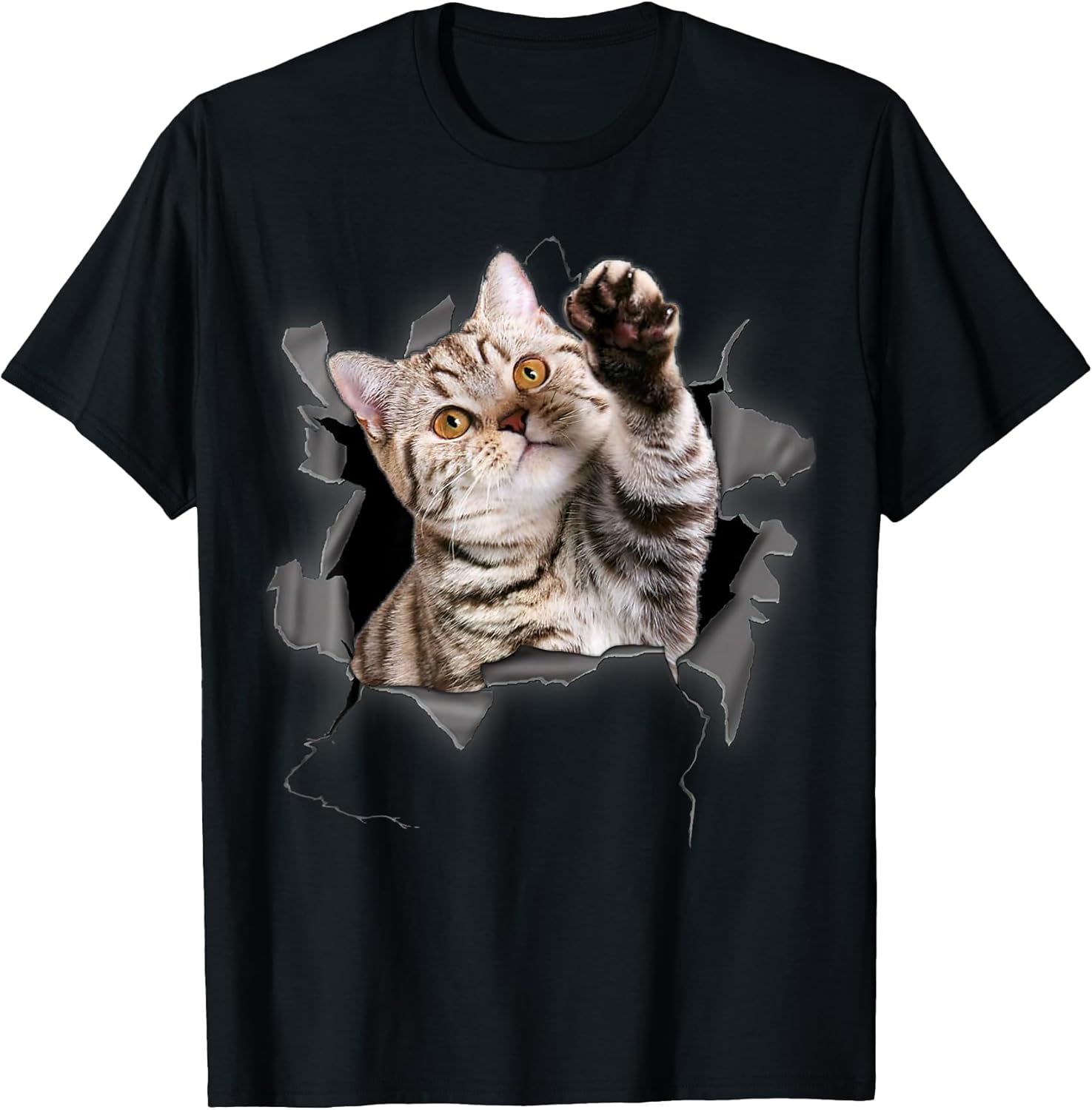 Kitten Torn Gift Store Co