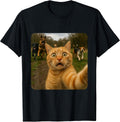 Cat Meme Collective