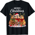 Christmas Capybara Santa Graphic