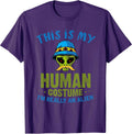 Extraterrestrial UFO Alien Abduction