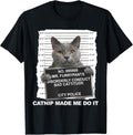Catnip Made Me Do It