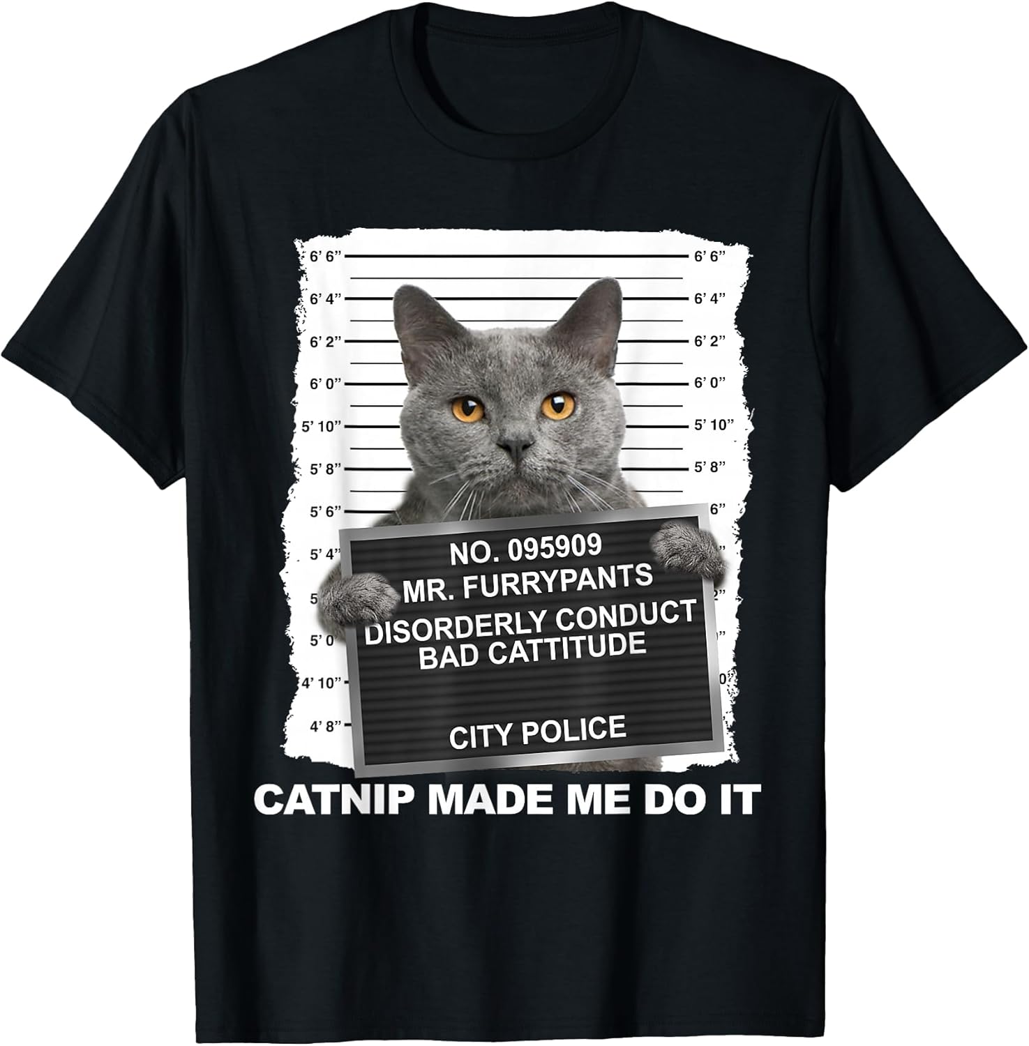 Catnip Made Me Do It