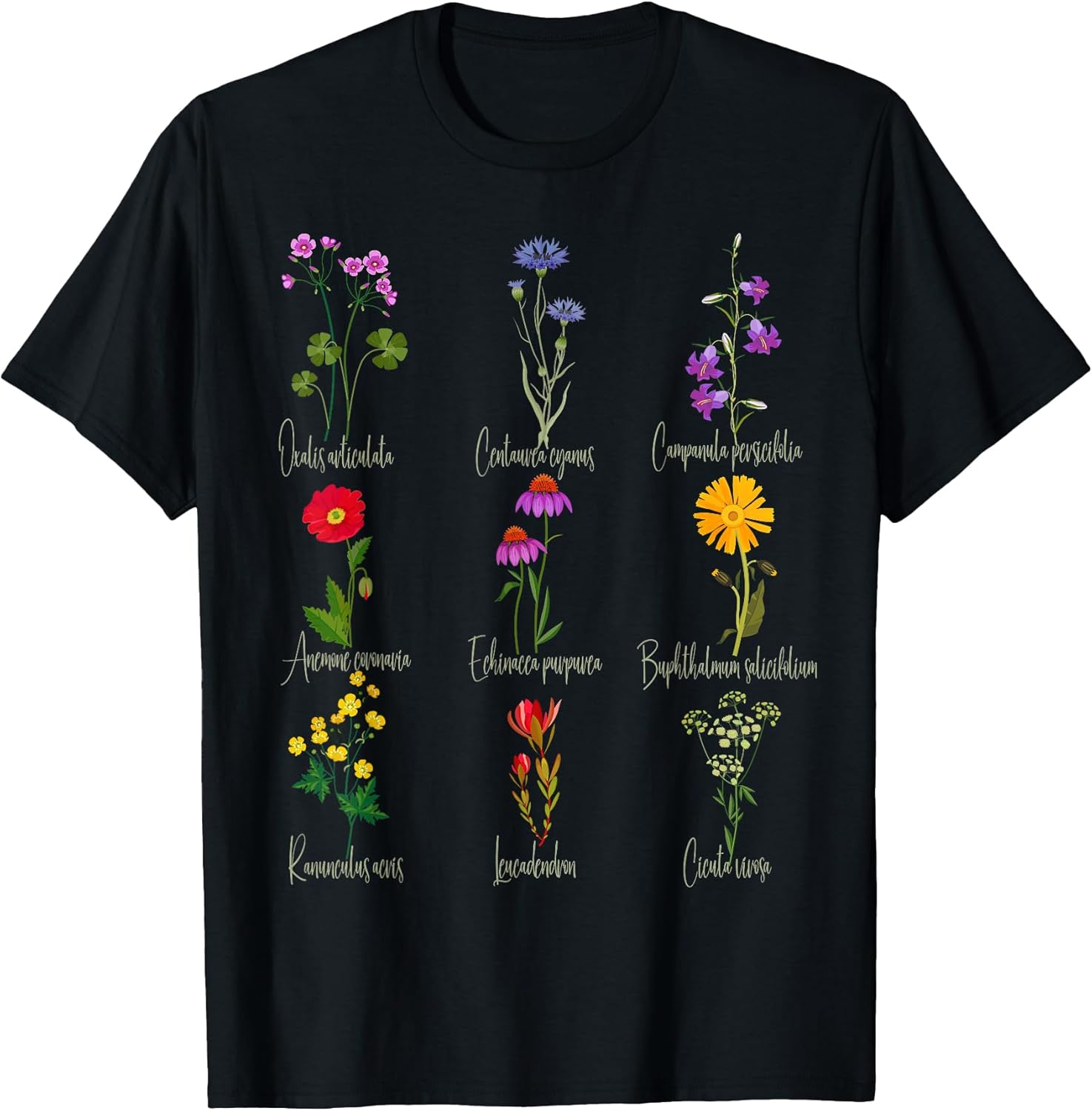 Botanical Chart Wildflower Names Floral Graphic Te