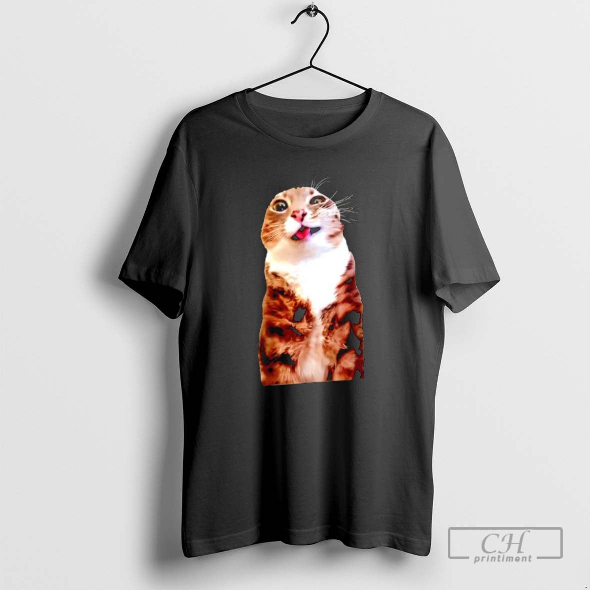 Classic Rigby Cat Meme Graphic Shirt Sweater