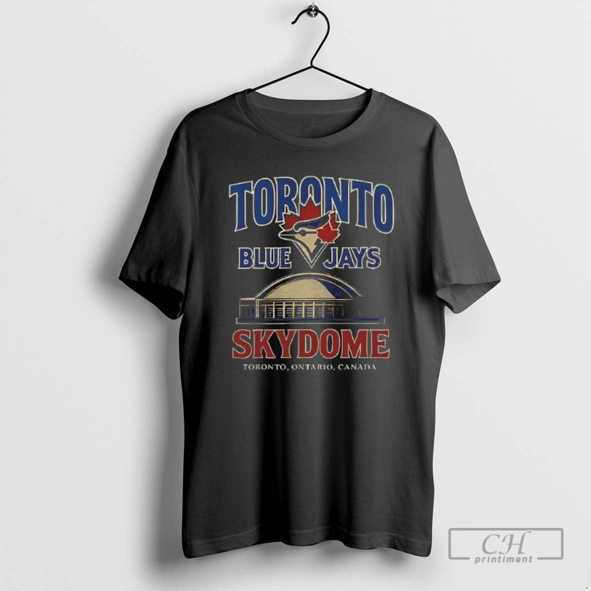Classic Top Toronto Blue Jays Skydome Toronto Ontario Canada Retro Shirt Sweater