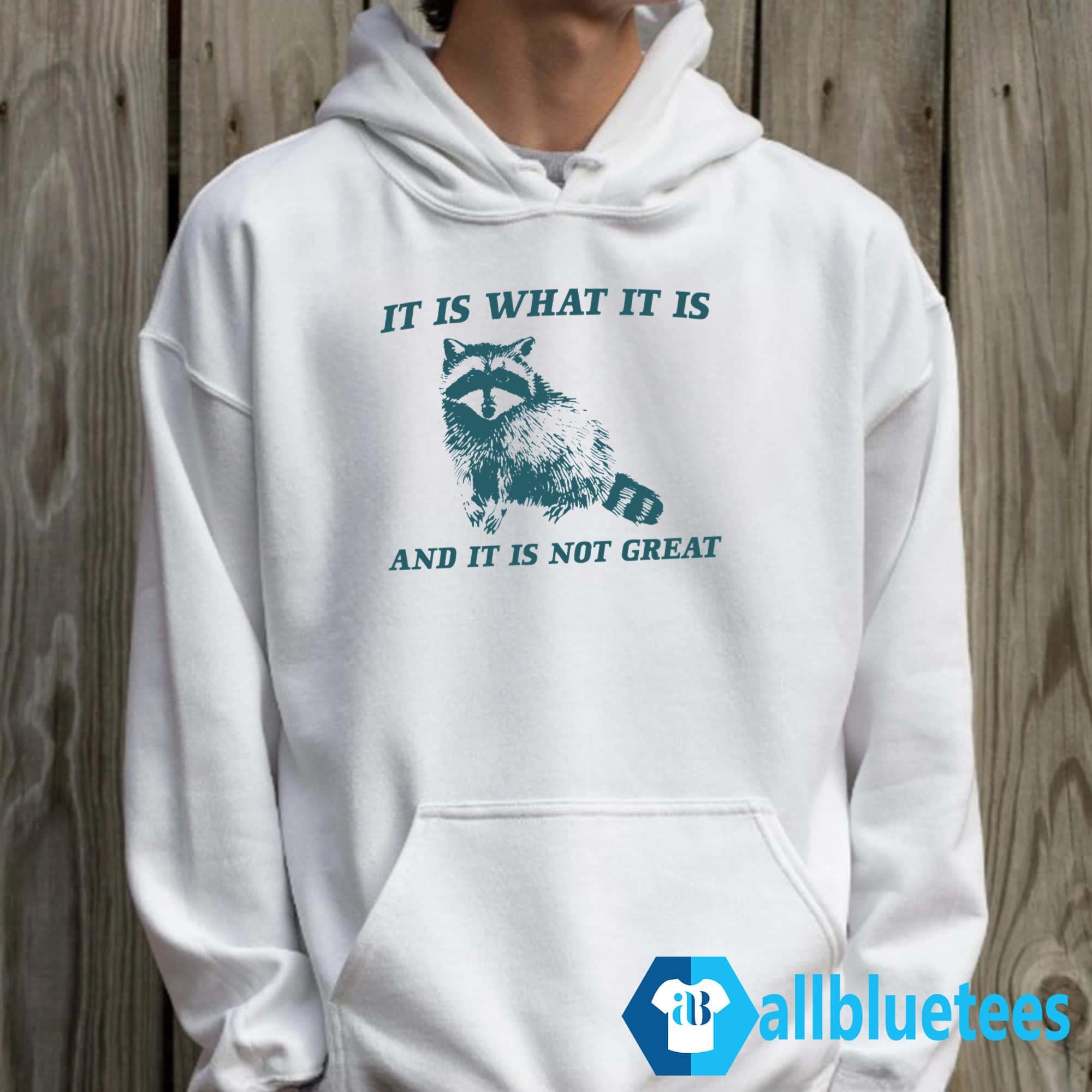 It Is What It Is And It Is Not Great Raccoon Shirt