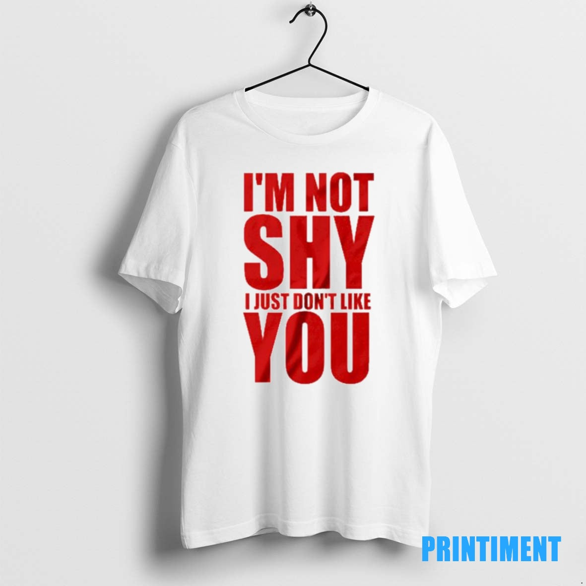Official Im Not Shy I Just Dont Like You Ornaments Tee Sweater