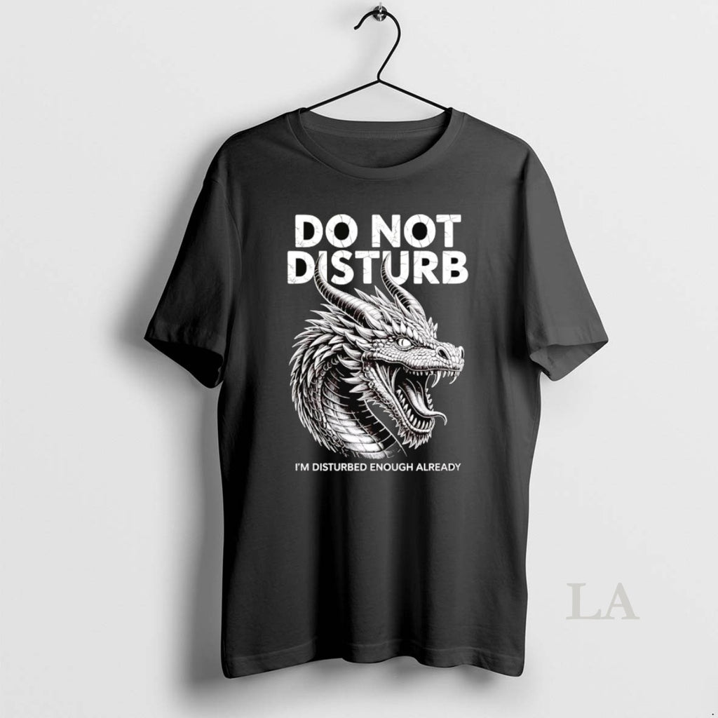 Original Dragon Do Not Disturb Im Disturbed Enough Already