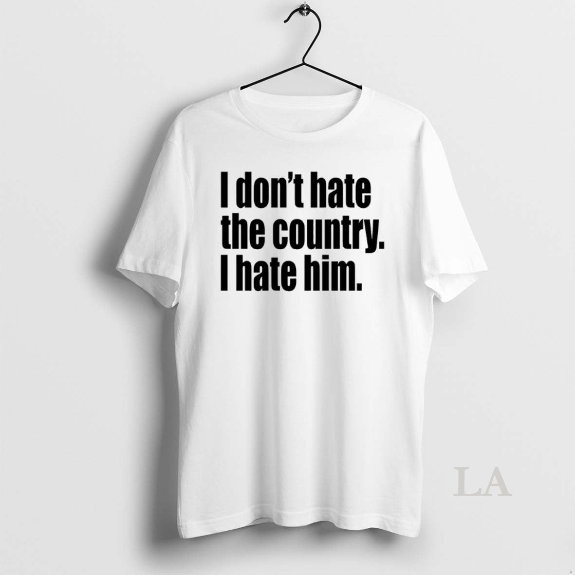 Original I Dont Hate The Country I Hate Him