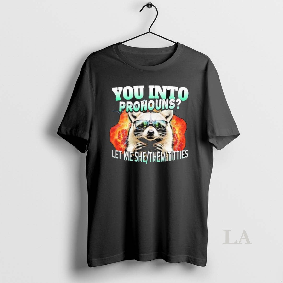 Original Let Me She Them Titties Raccoon Pronouns Intro Graphic