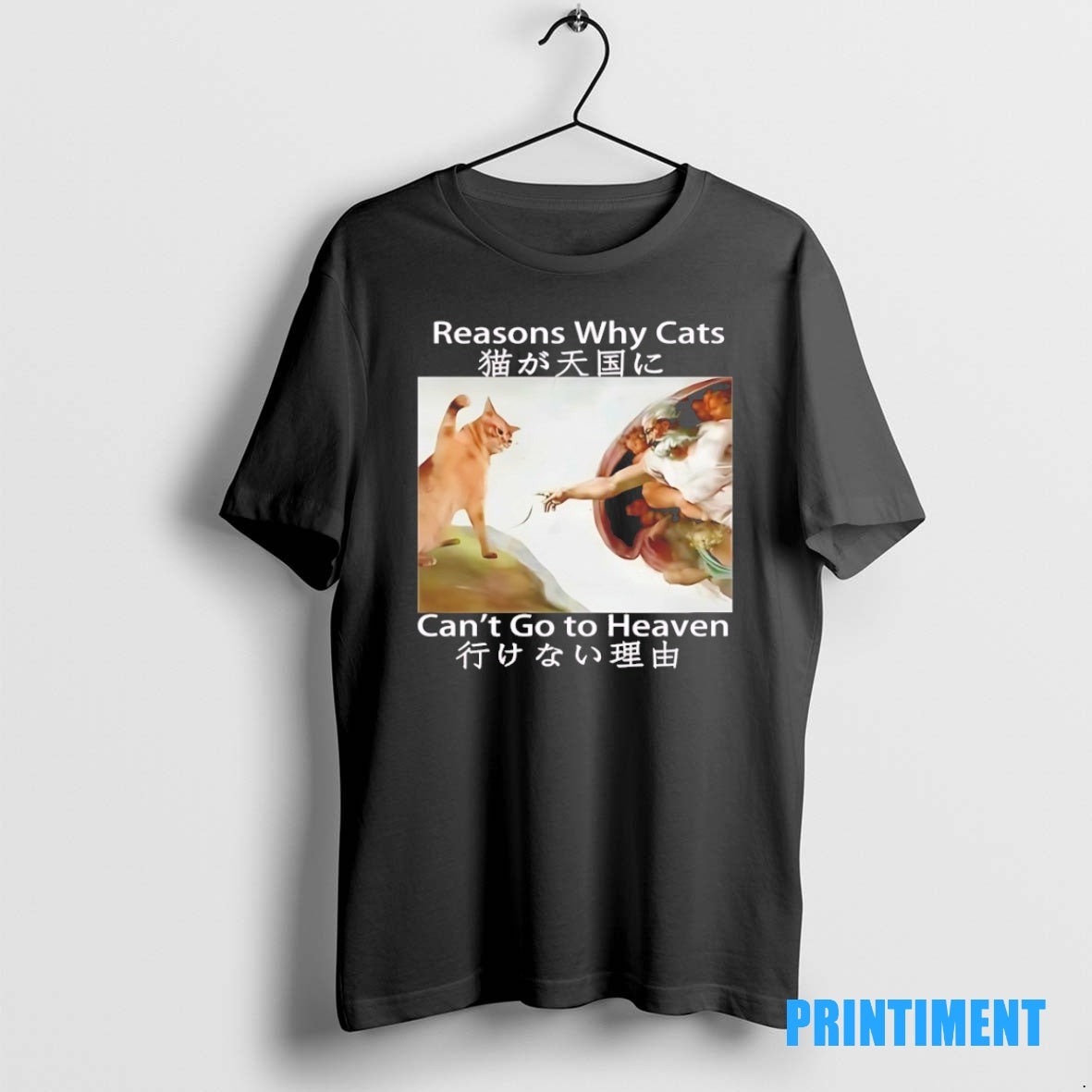Original The Creation Of Adam Reasons Why Cats Cant Go To Heaven Meme Tee Sweater