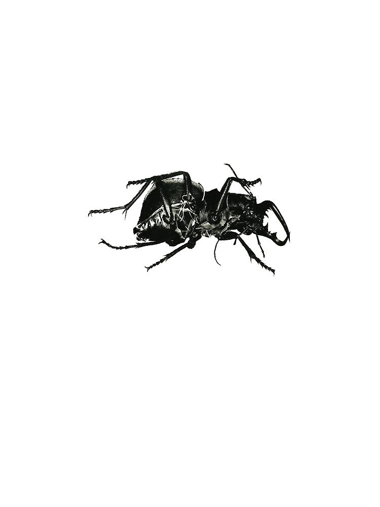 Mezzanine Bug by MichelleSpatz6