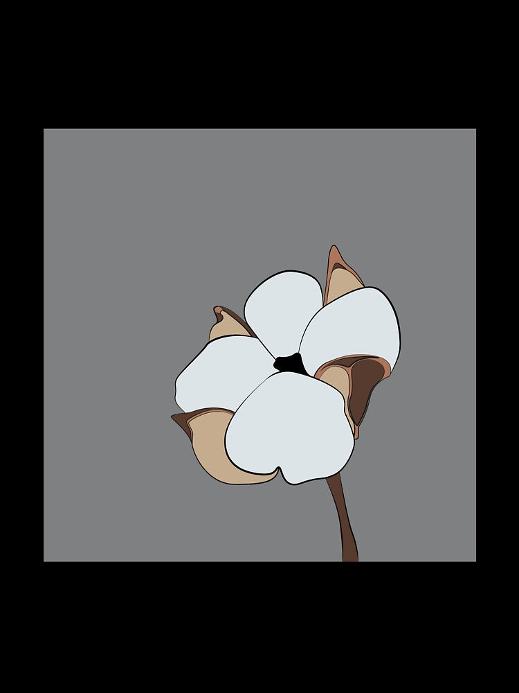 Botanical illustration | Cotton flower print by mariline-design
