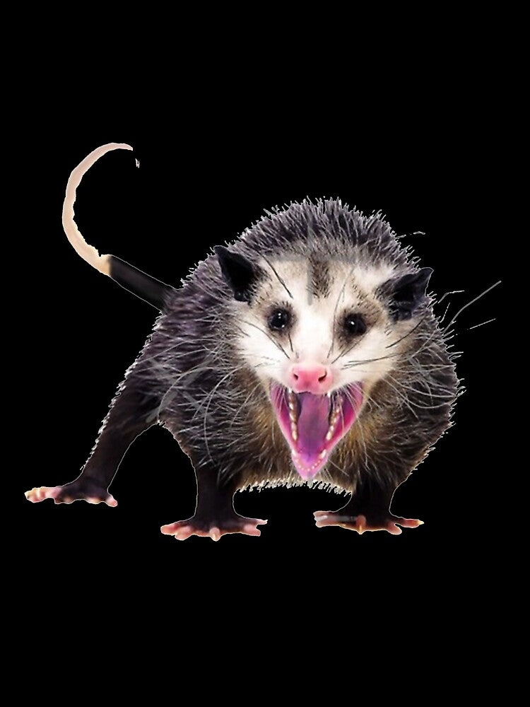 possum merch opossums Possum Whisperer meme, possum merch opossums Possum Whisperer stickers,possum merch opossums Possum Whisperer shirt For Mom Dad Kids by yota habi