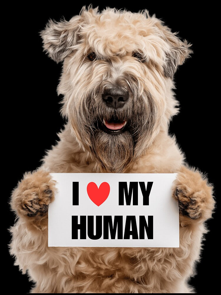 Cute Soft Coated Wheaten Terrier with Signboard I love my Human by LazyOwlStore