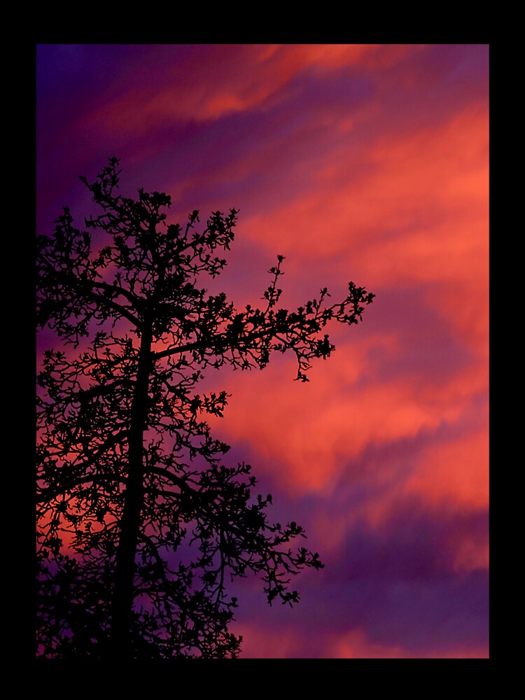 Red Clouds At Sunset by PotluckPrints