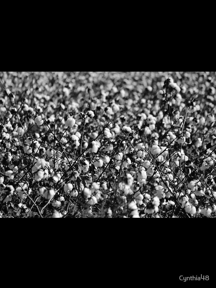 Cotton In Black And White by Cynthia48