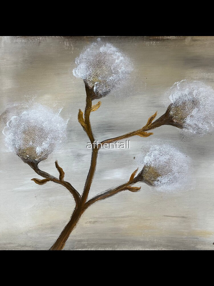 Cotton flower by afhentall