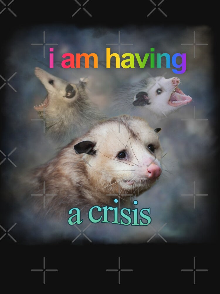 I am having a crisis possum word art by snazzyseagull