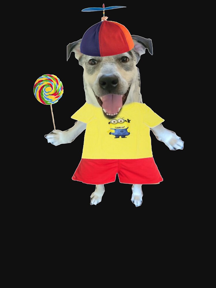 Lollipop Dog With Propeller Hat Meme by klaro45