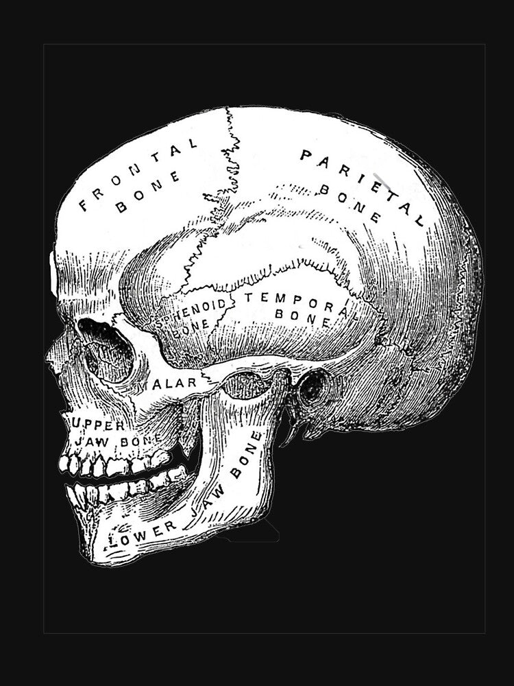 Vintage Skull Diagram meme, Vintage Skull Diagram stickers, Vintage Skull Diagram shirt For Mom Dad Kids by yota habi