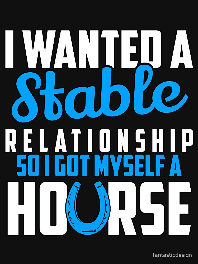 Funny Sarcastic Saying I Wanted A Stable Relationship by fantasticdesign