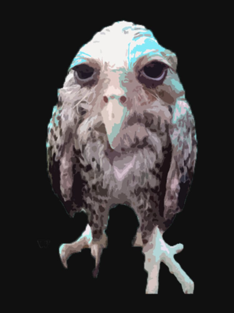 wet owl by SwazzDdraws
