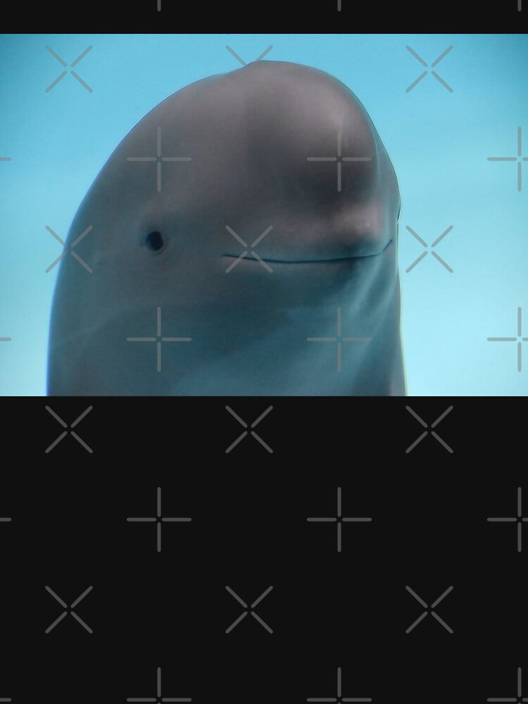 Miharu The Smiling Dolphin by rachimariposa