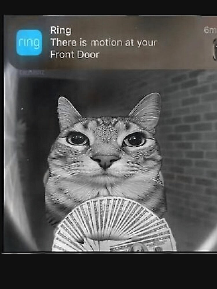 Ring Cat With Motion Meme by GriceldaSanchez