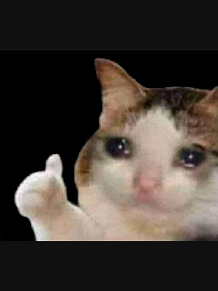 Crying Cat Thumbs Up Meme by cnon626