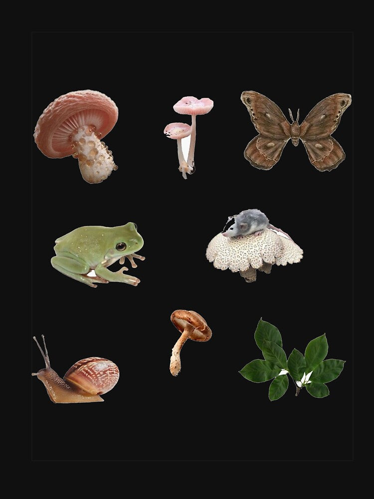 Goblincore fungi and frogs meme, Goblincore fungi and frogs stickers, Goblincore fungi and frogs shirt For Mom Dad Kids by yota habi