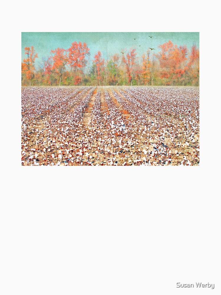 Fields of White by Susan Werby