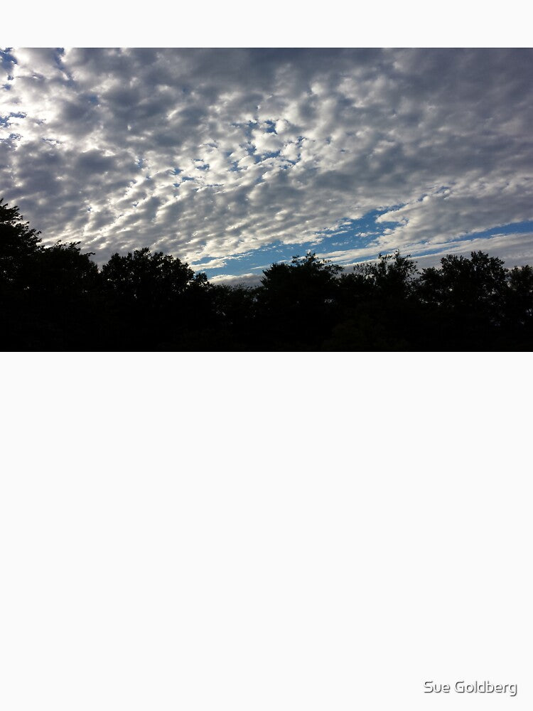 Cotton Balls In The Sky by Sue Goldberg