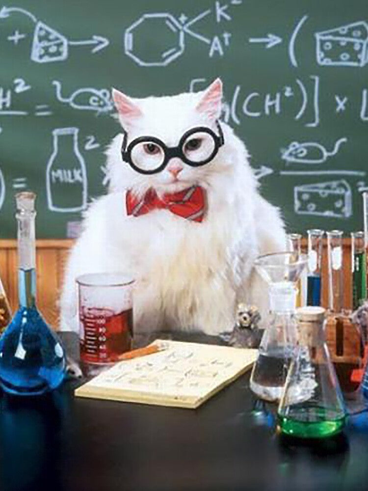 Chemistry Cat by Meme Economy