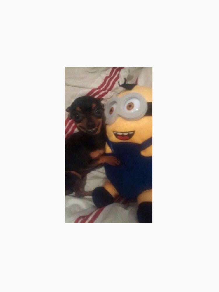 Happy chihuahua with minion by Me-Mes
