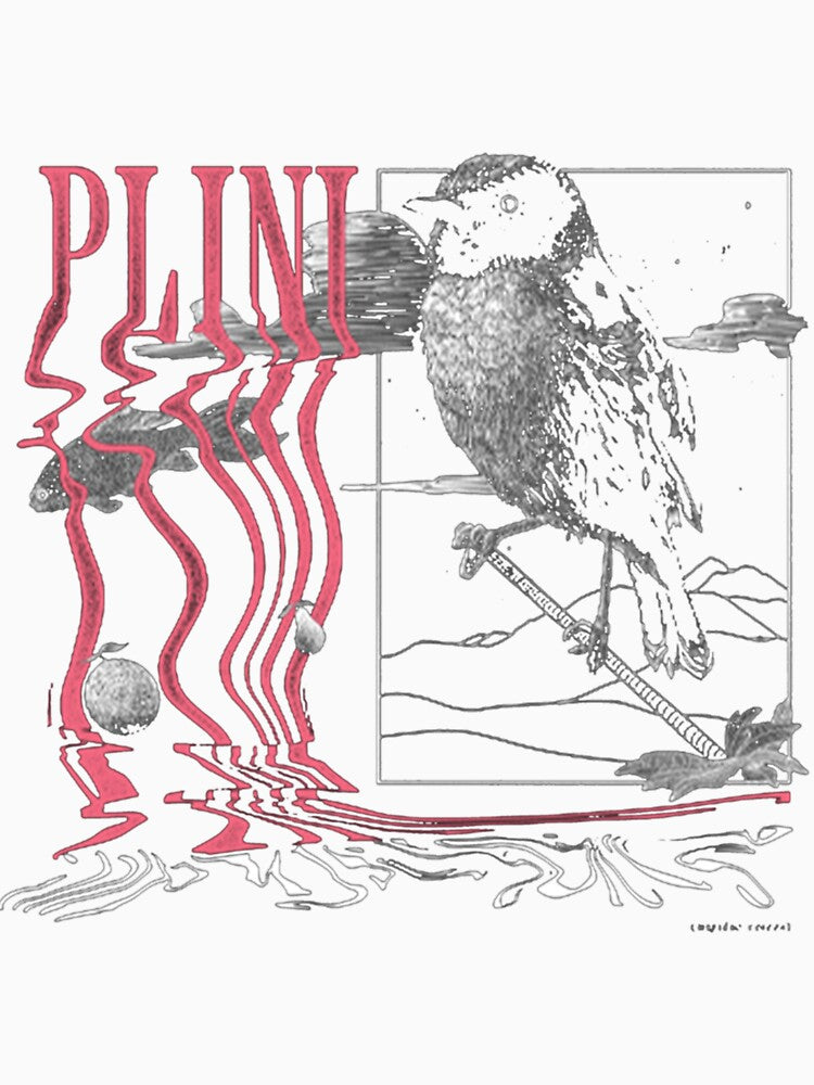 Plini Premium by Herachf