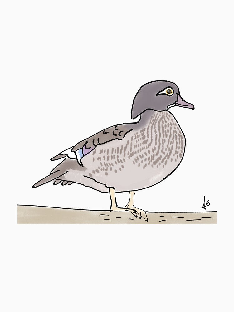 Wood duck in comic book style profile by mousse-tache