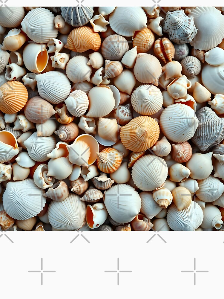 Shells 5 by HebaRK Studio