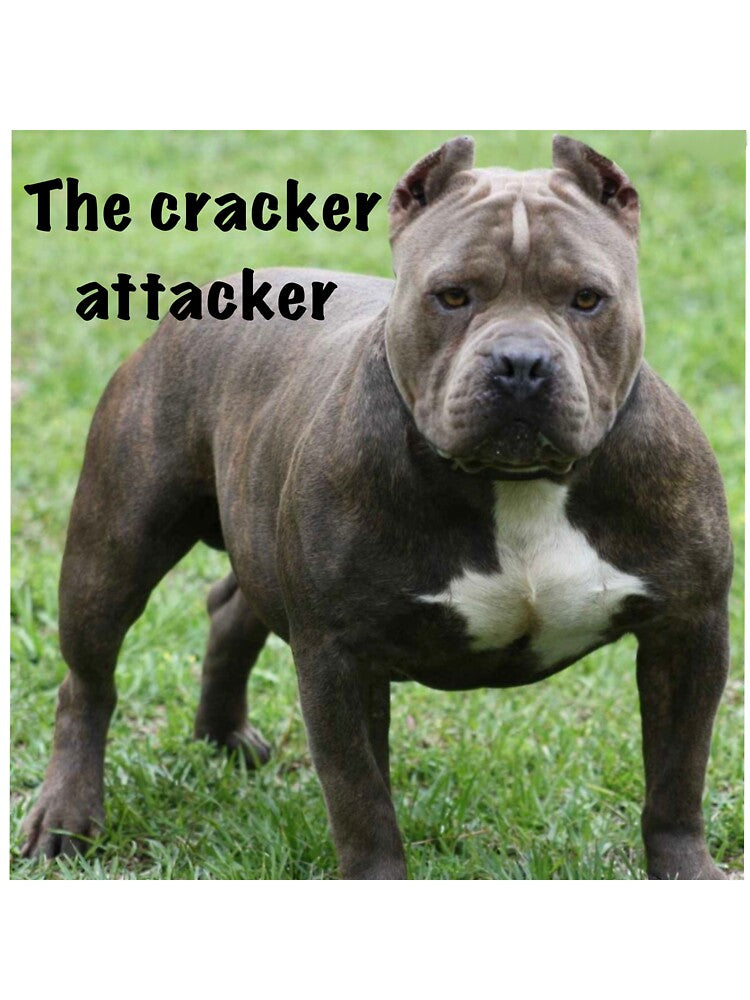 The cracker attacker by Funnymaybe