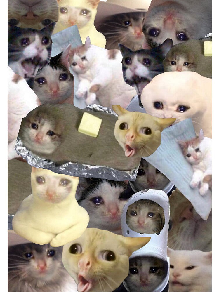 Crying Meme Cats by pixid