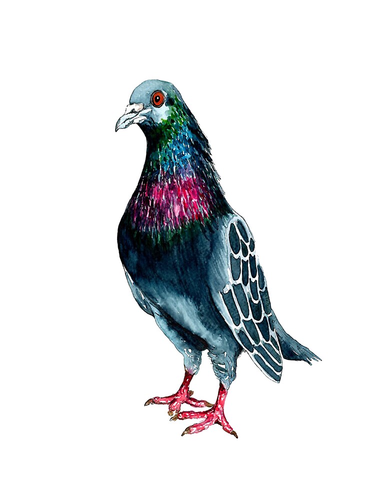 Seymour the pigeon meme, Seymour the pigeon stickers, Seymour the pigeon shirt For Mom Dad Kids by yota habi