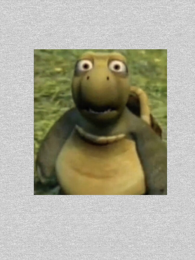 Verne Over The Hedge Turtle by crackity